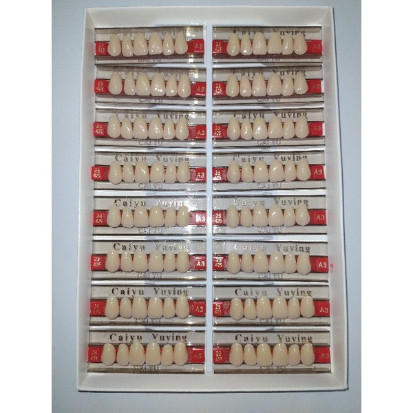 Gigi Caiyu Anterior/gigi palsu/gigi depan
