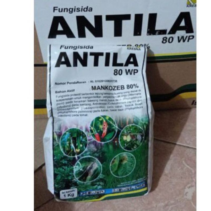 ANTILA 80 wp ( 1 kg )