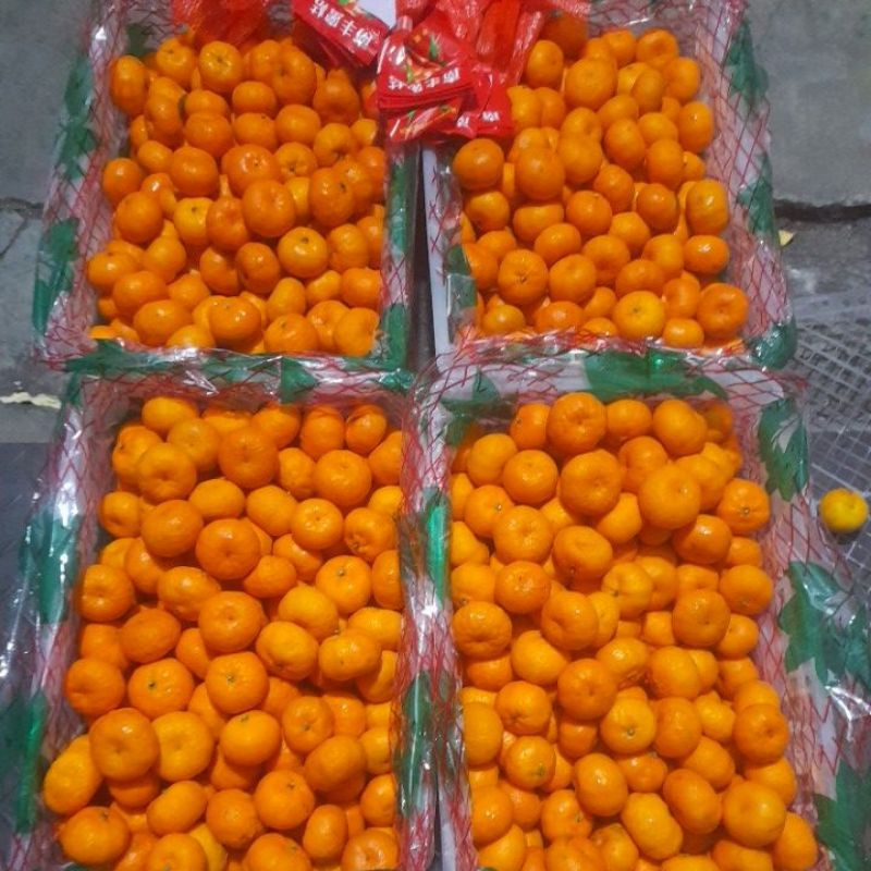 

JERUUK SHANTANG GUNDULL FRESH/////MANIS FRESH