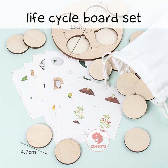 Zoetoys Life Circle Board | Wooden Montessori Life Cycle Tray Game | Papan Siklus Hidup Hewan Tumbuhan pengenalan lingkaran kehidupan | Mainan Edukasi Anak