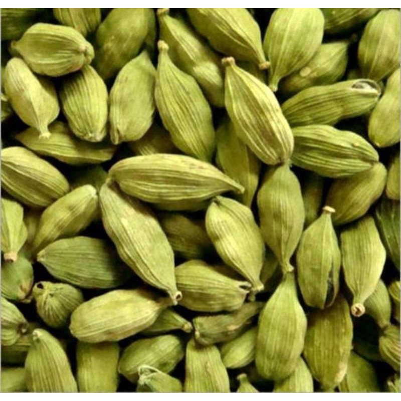 

Kapulaga India 100 gr / Kapulaga Arab Premium / Green Cardamom / Rempah Makanan Arab dan India