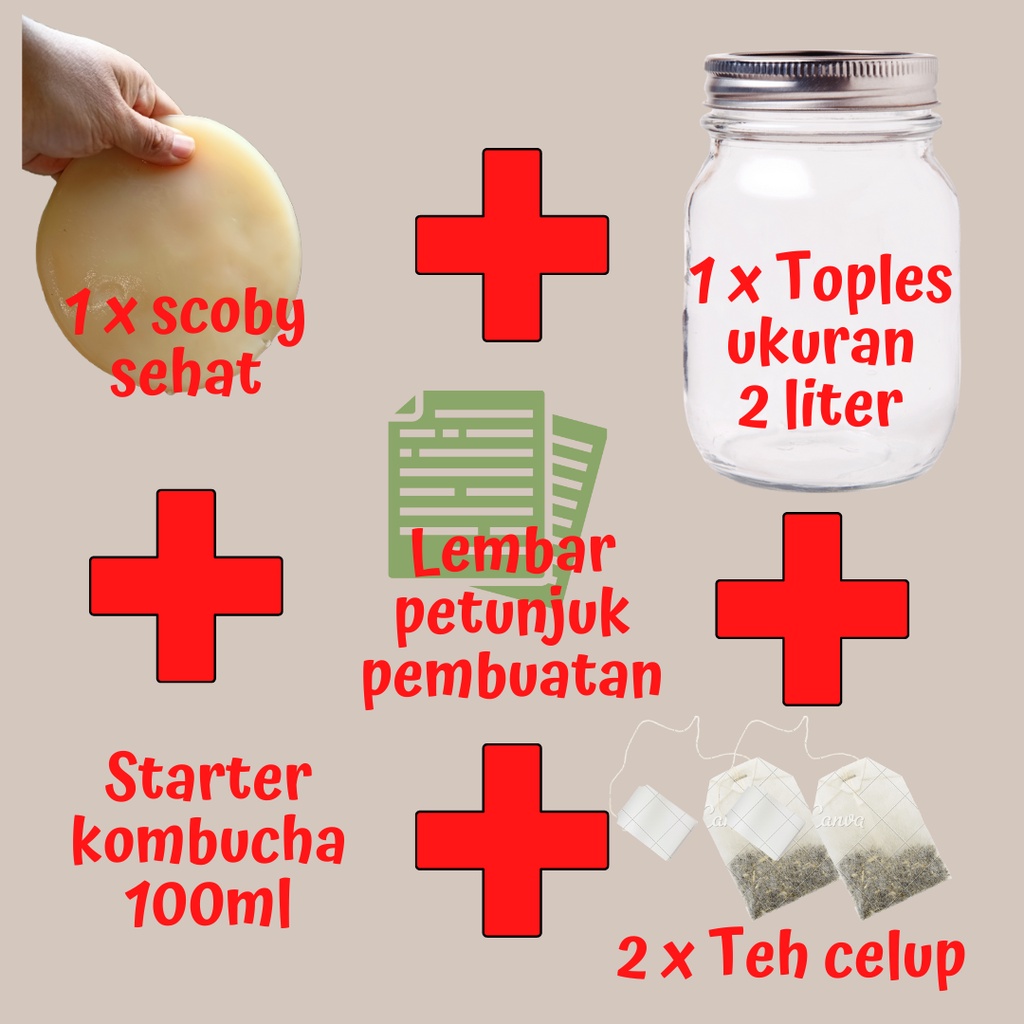 

PAKET SCOBY PREMIUM BORNEO KOMBUCHA UNTUK PEMULA: SCOBY , TOPLES KACA, CUKA STARTER DAN TEH