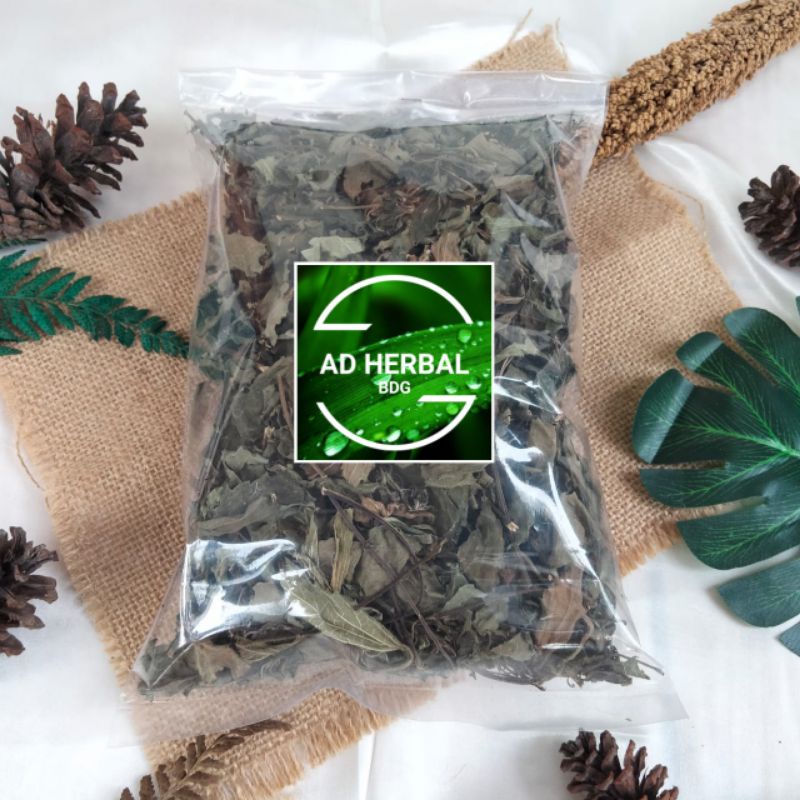 

NG Daun Kumis Kucing Kering Rempah Herbal Alami Atasi Batu Ginjal Isi Gram