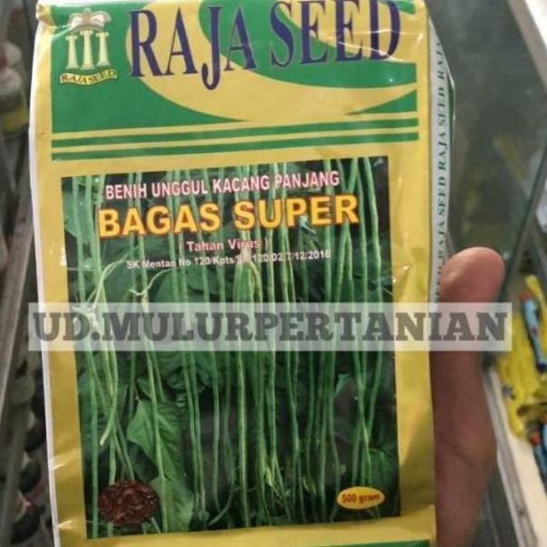 Benih kacang panjang BAGAS SUPER tahan virus dr Raja seed isi 500gram Qink