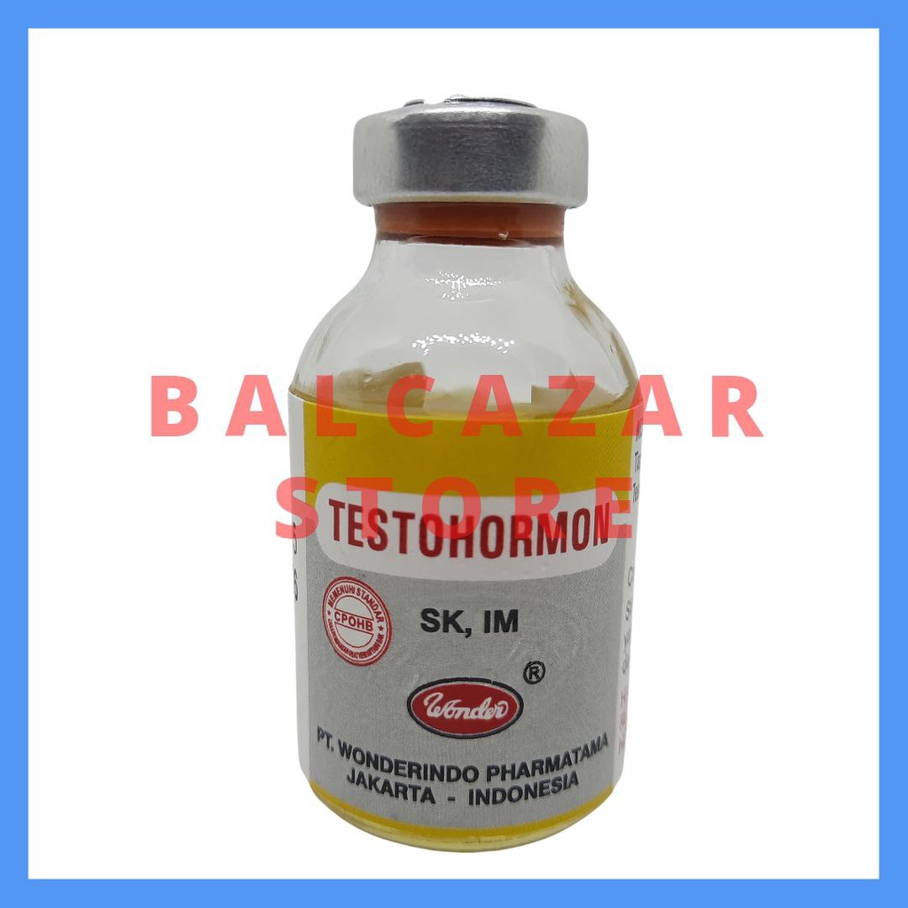 Testohormon / testoteron P 30 mg hormon kawin hewan jantan betina