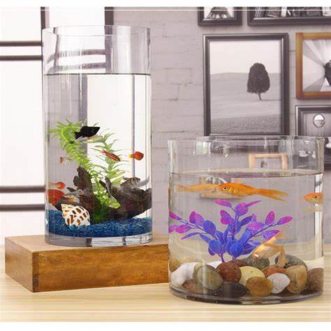 AQUARIUM KACA TABUNG / AKUARIUM IKAN HIAS / AKUARIUM MINI IKAN  GUPPY CUPANG / AQUASCAPE / AQUARIUM 