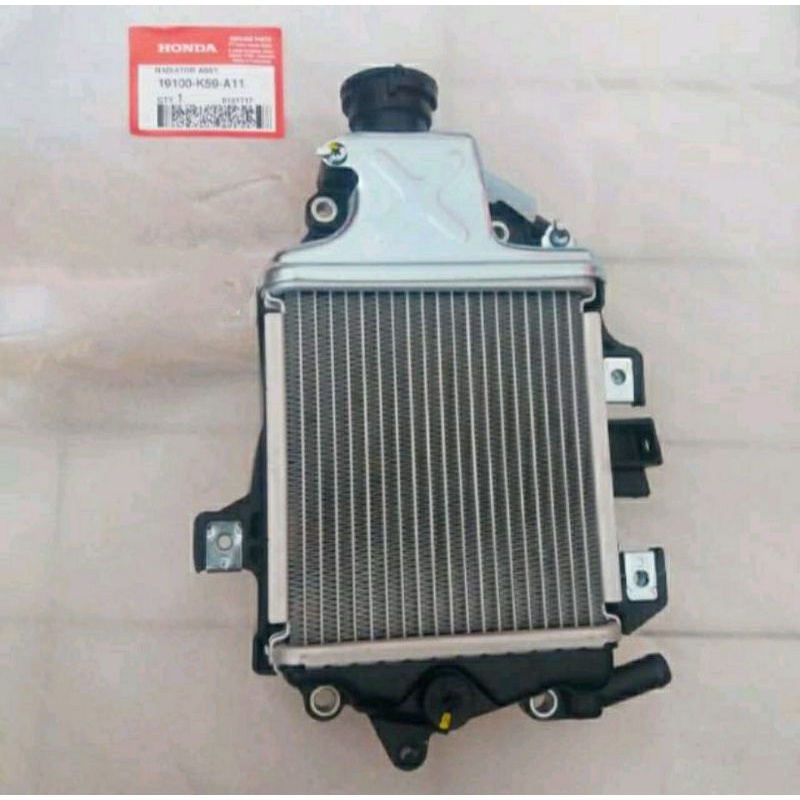 Radiator Assy Vario 150 K59 19100K59A11
