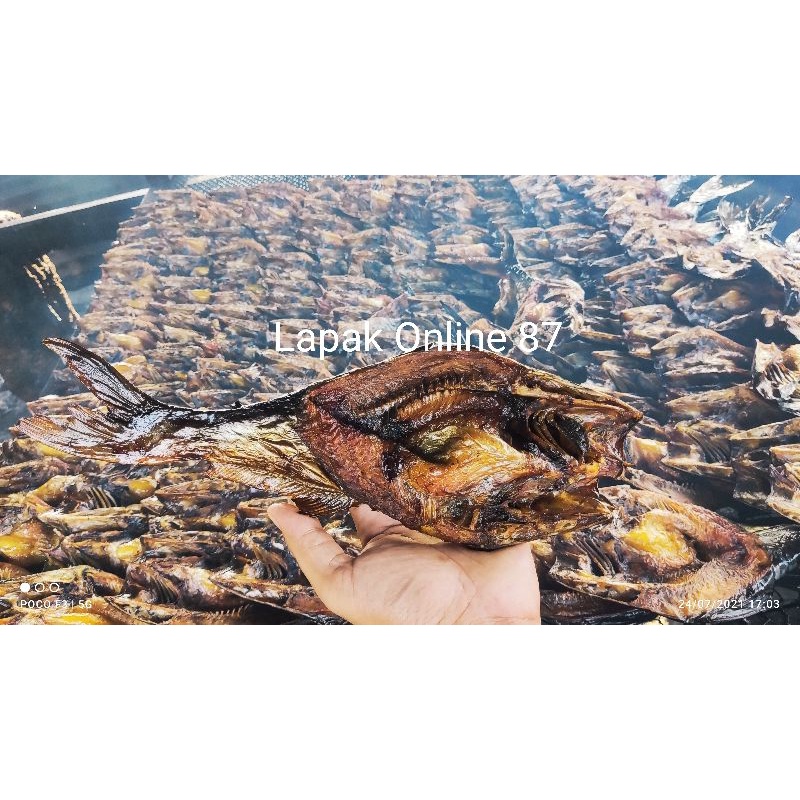 

Ikan Salai patin Khas Riau 500g