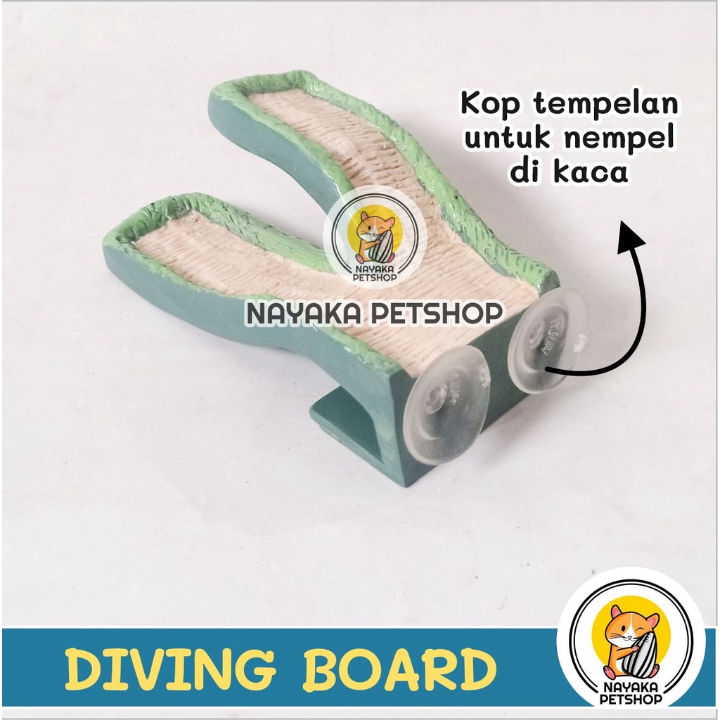 Mainan Hamster Diving Board Kura Brazil Tempat Jemur Kura Air Berjemur