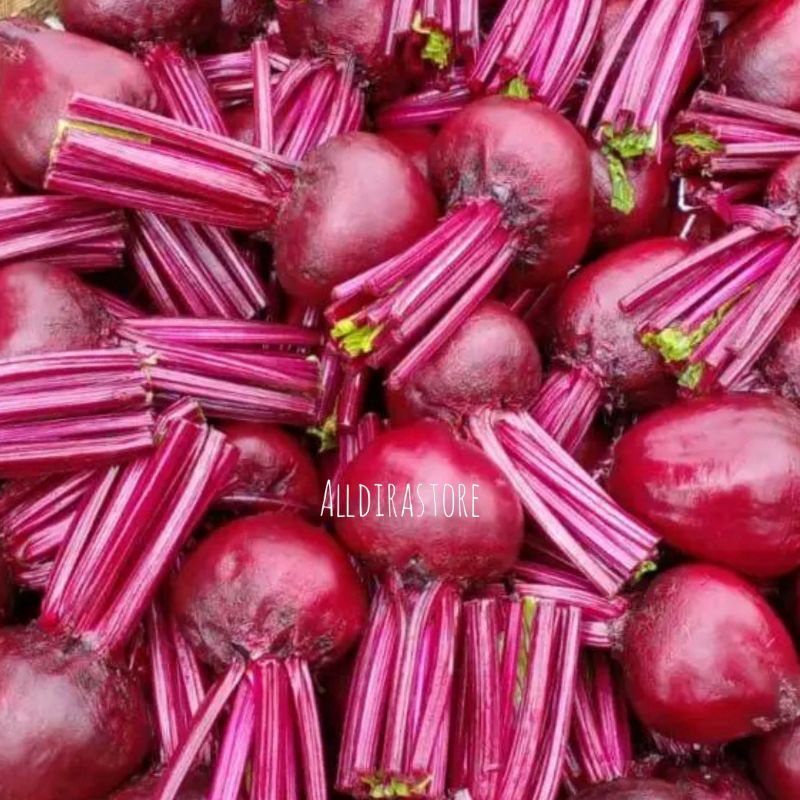 

Buah Bit Kualitas Super Spec Market 1Kg