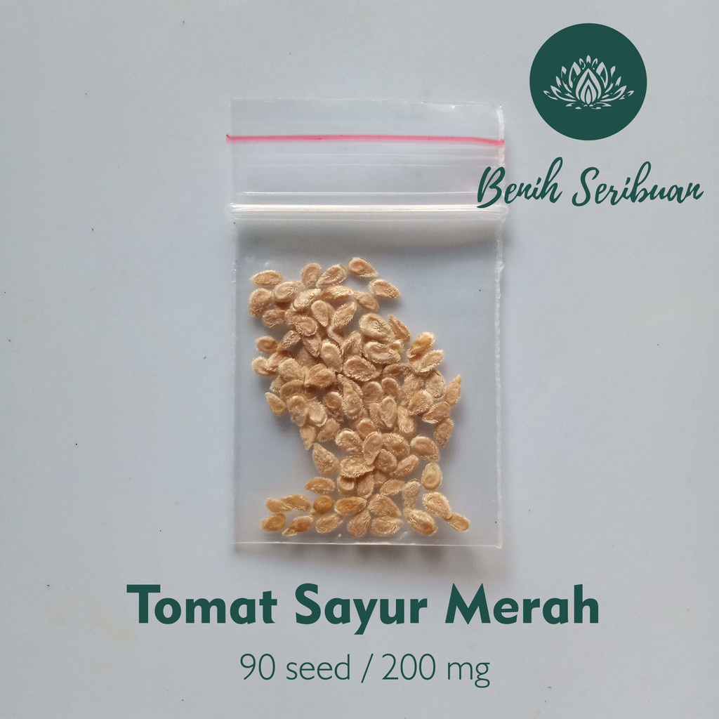 Benih Seribuan - 90 Bibit Sayuran Tomat Sayur Merah Unggul