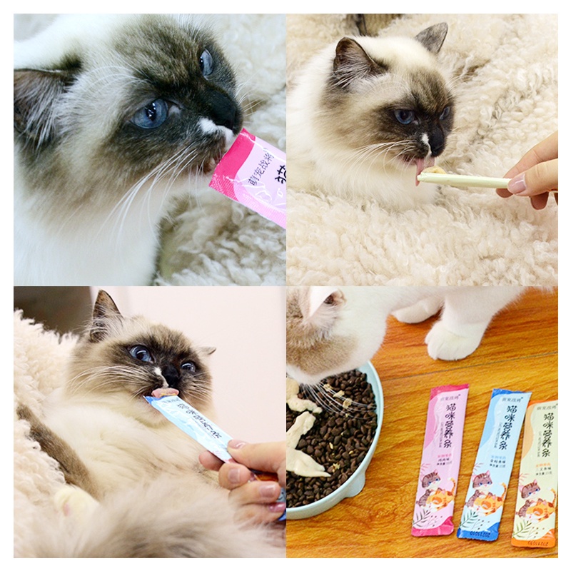 Creamy Treats Kucing Camilan Kucing Basah Snack Kucing Snack Kucing Sehat  Bio Creamy Snack Hewan