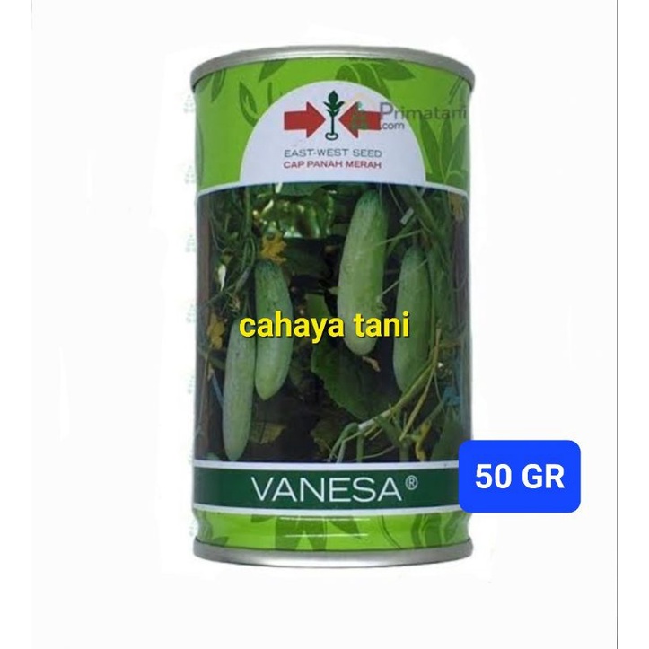 

TIMUN VANESA 50 GR
