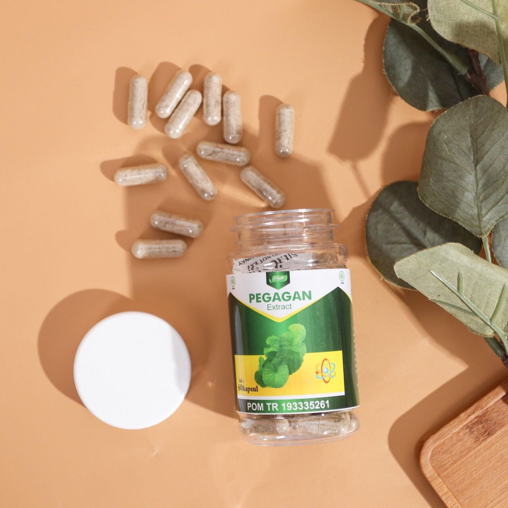 Kapsul Ekstrak Pegagan Obat Suplemen Vitamin Nutrisi Herbal Penambah Peningkat Kecerdasan Konsentrasi Daya Ingat Otak Penurun Panas Demam Anak Dewasa Cerdas Pintar