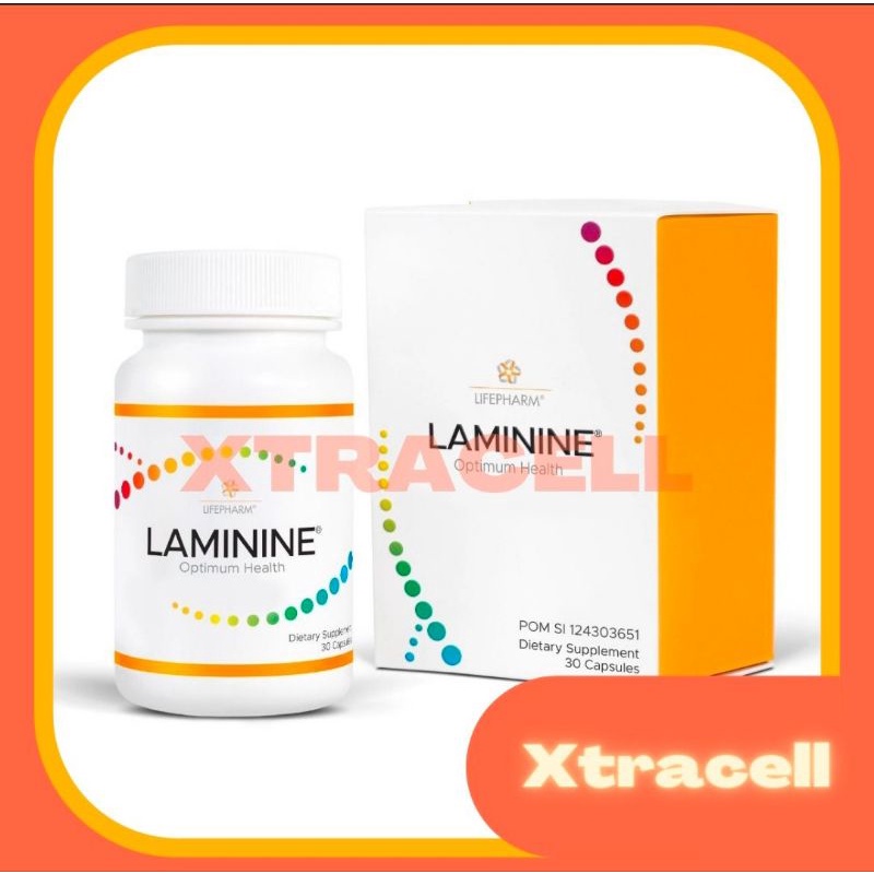 Laminine/ lamine/laminee/terapi stemcell Ori isi 30 kapsul