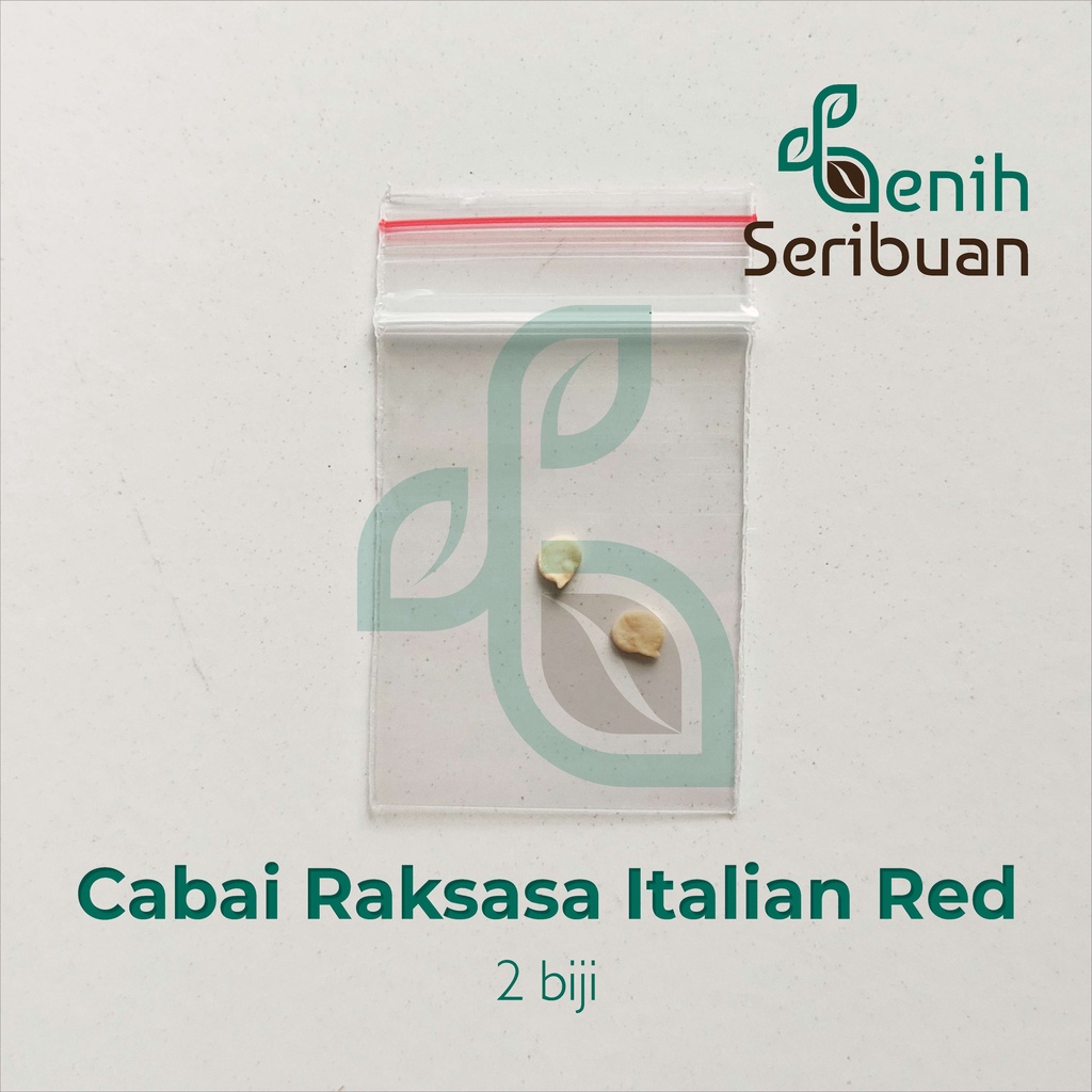 Benih Seribuan - 2 Bibit Cabe Raksasa Sweet Italian Red Unggul