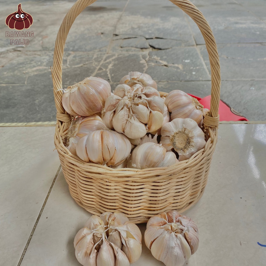 

Bawang putih banci bersih utuh 1kg