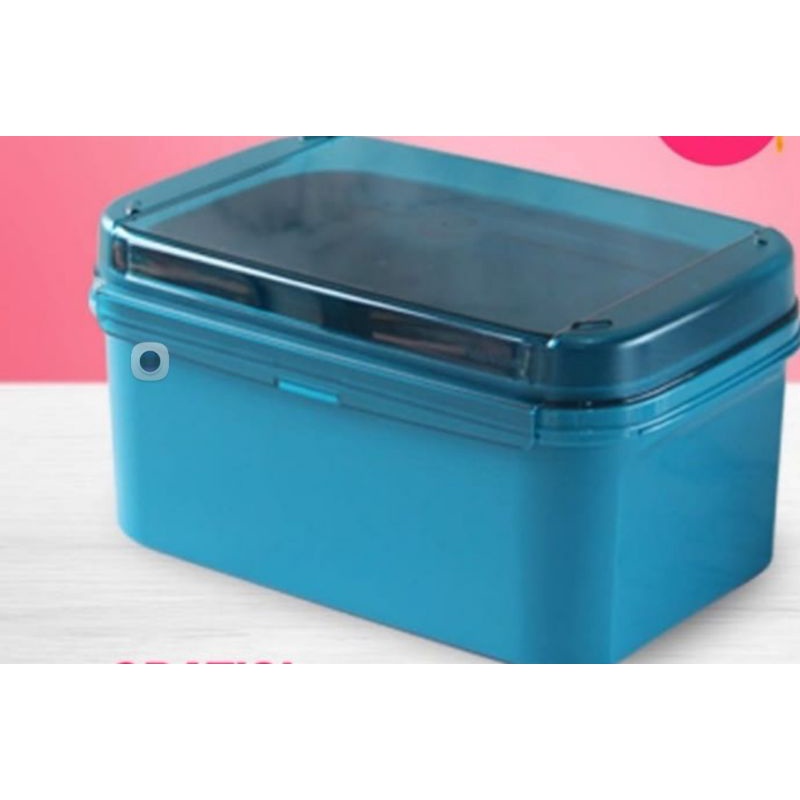 Promo Tupperware Ezy Keeper 4.6L - Original Rantang Kedap Air Organizer Tempat Makanan Besar