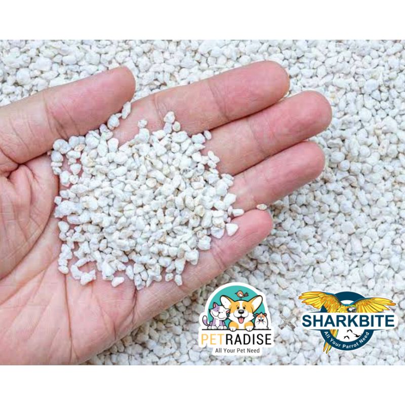 Perlite Media Tetas Telur Torto Reptil Gecko Sulcata Bearded Dragon
