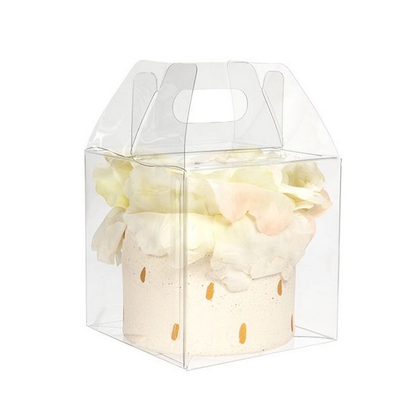 

Kantong Souvenir Box Souvenir Transparan Clear Gift Bags 1122-191