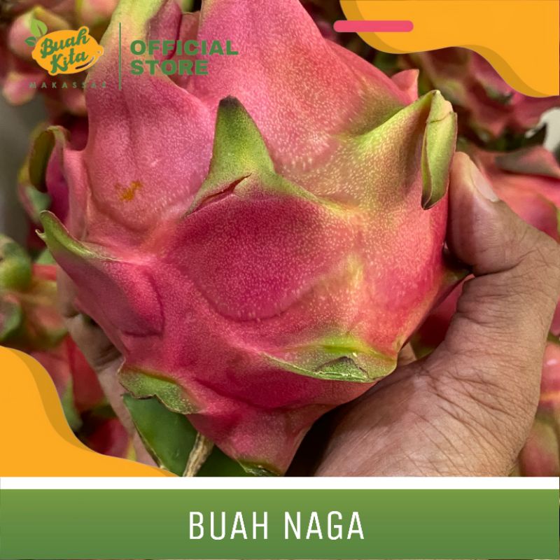 

BUAH NAGA LOKAL