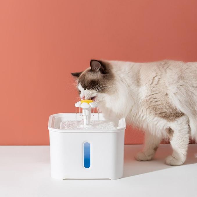 Water Dispenser Tempat Minum Anjing Kucing 2.5 Liter