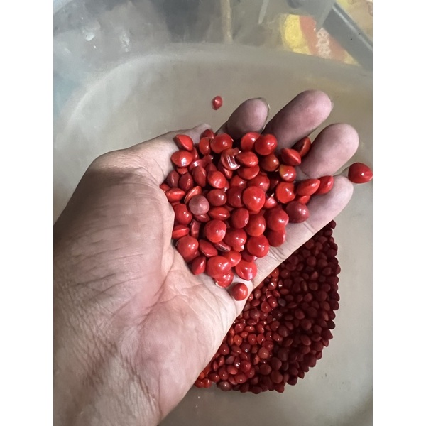 

biji saga (biji merah)