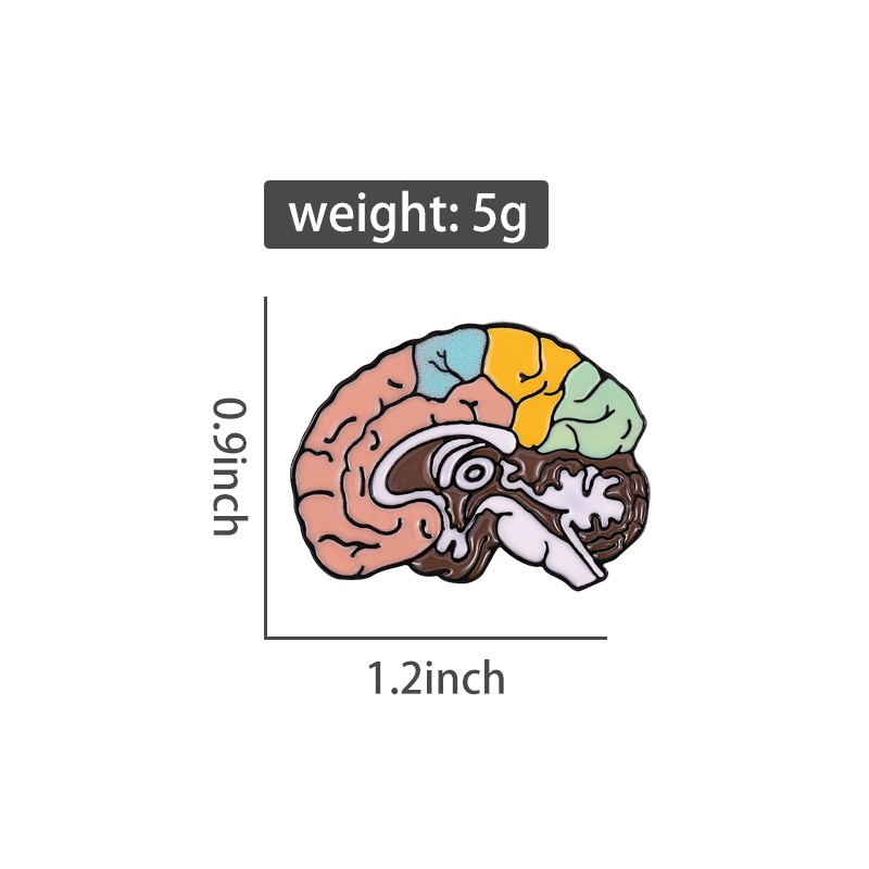Bros Otak Medis Anatomi Enamel Halus Warna-Warni Kerah Lencana Pin Perhiasan Obat Untuk Dokter Perawat