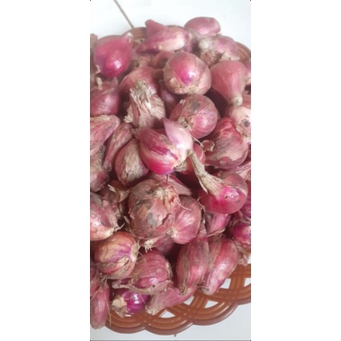 

bawang merah pilihan