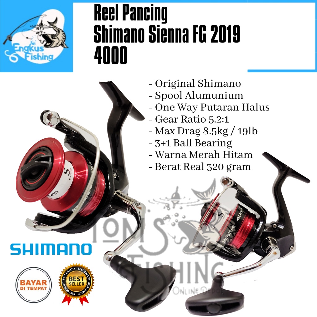 Reel Pancing Shimano Sienna FG 2019 2500 - 4000 Original (3+1 Bearing) Murah Garansi - Engkus Fishing