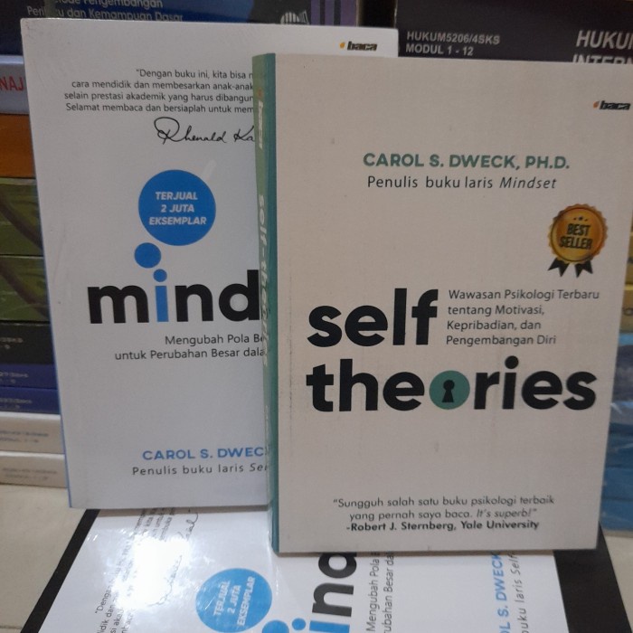 

buku paket mindset & self theories by Carol S. Dweck, PH.D.