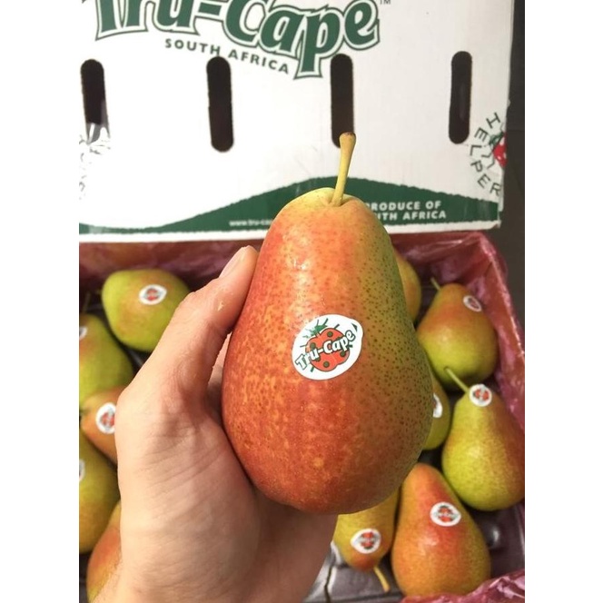 

Miliki Buah Pear Pir Foreli Tru Cape 1 Dus (12,5Kg) Fresh Import Heiyyaluv