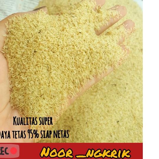 

Termurah | TD4 | [SIAP COD] TELUR JANGKRIK ALAM BERKWALITAS 1KG