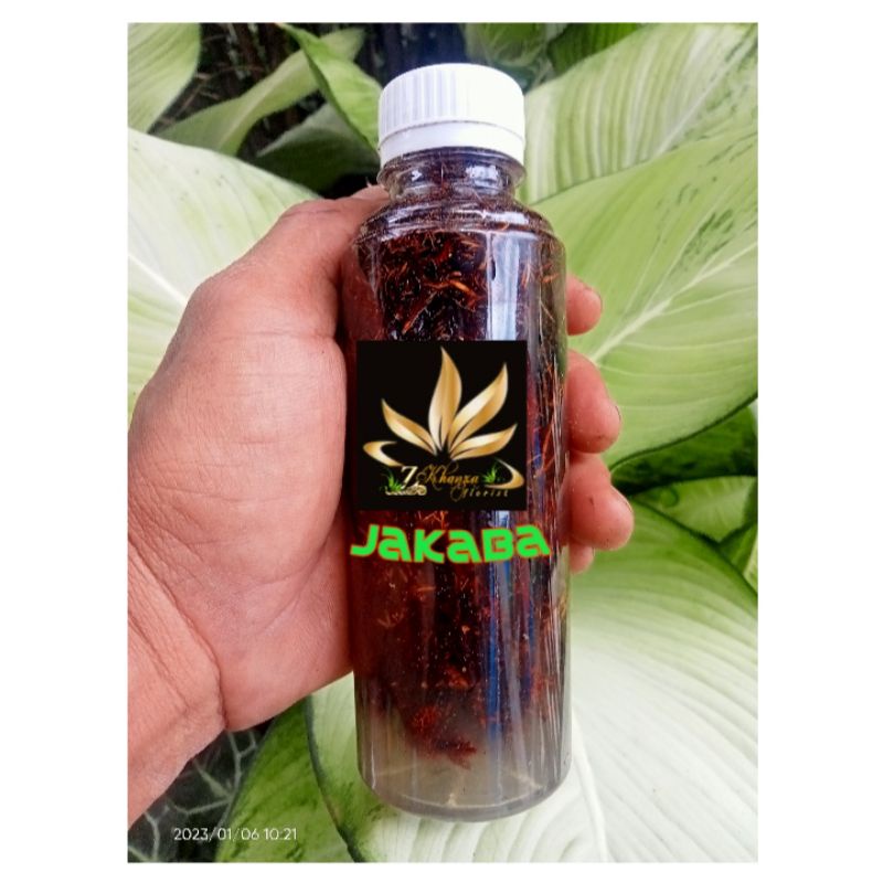 Jakaba Biang Jamur Jakaba Jamur keuntungan Abadi