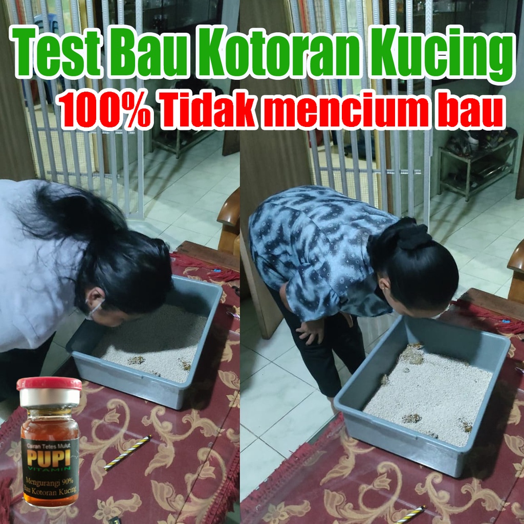 PUPI VITAMIN BAU KOTORAN KUCING HILANG memperbaiki pencernaan dan obat diare ringan kucing dan kitten 2.5ML