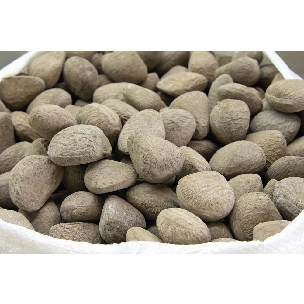 

Kluwek / Pucung 1 Kg