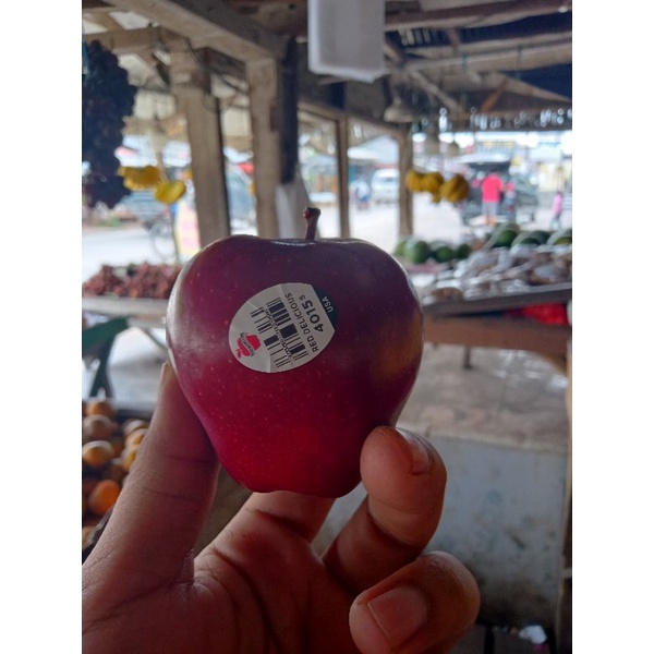 

buah apel segar dan sehat