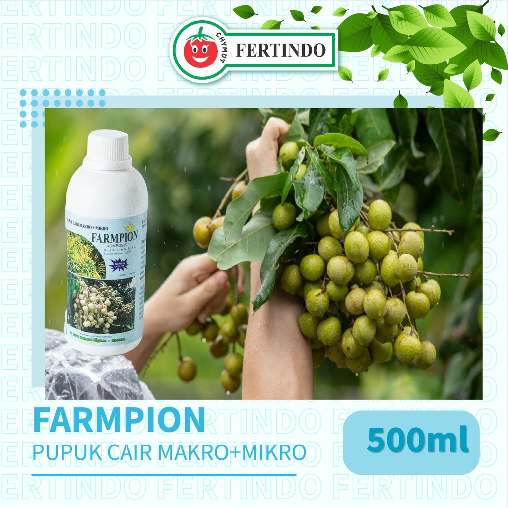 Pupuk Untuk Tanaman Buah Boster Booster Kelengkeng Klengkeng Lengkeng Agar Cepat Berbuah Farmpion