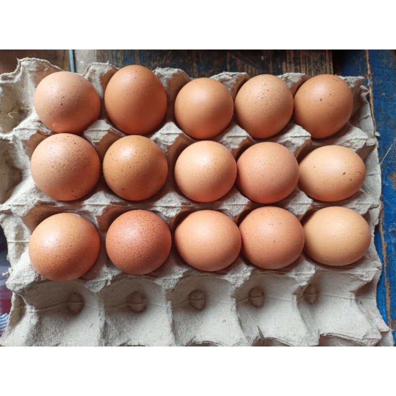 

Telur Ayam Negeri per 15 butir