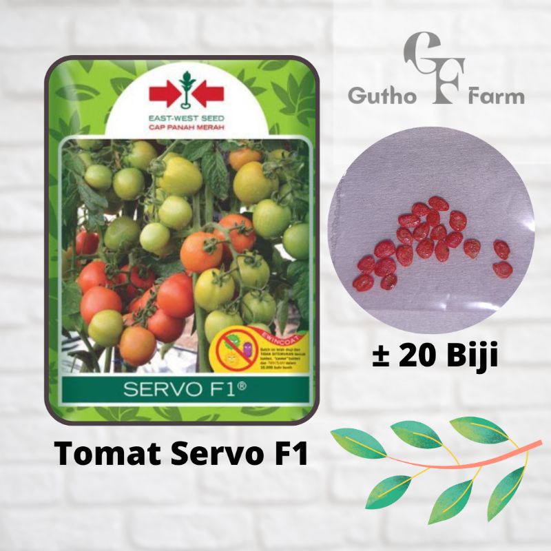 Benih Tomat Servo F1 Repack ± 20 Biji