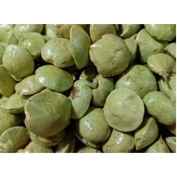 

TERLARIS jengkol muda / lalap / sayuran 250g MURAH