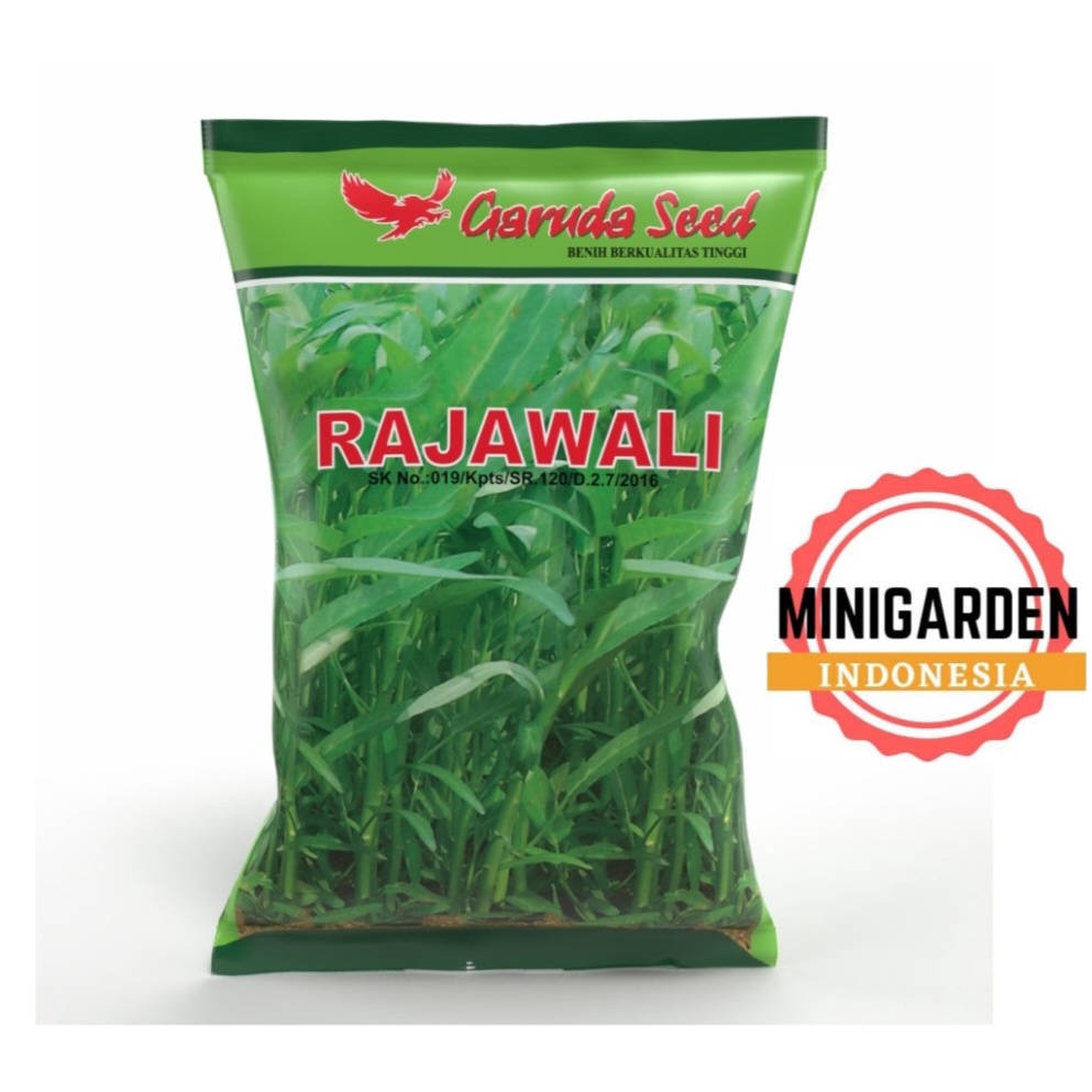 BIJI KANGKUNG RAJAWALI  PACK 1KG BENIH TANAMAN SAYUR SAYURAN HIDROPONIK garuda seed