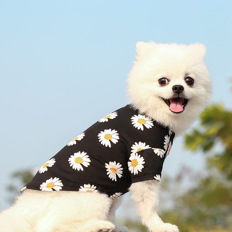 Pakaian Kucing Anjing Anjing daisy Kecil Dan Sedang T-shirt Anjing Atasan Hewan Peliharaan