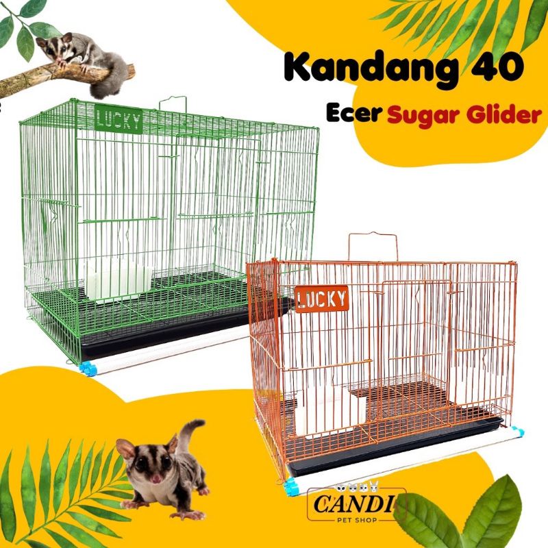 KANDANG SG - Kandang Sugar Glider Kelinci Mini Kandang Tupai Aksesoris Sugar Glider HARGA MURAH