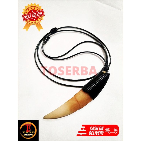 kalung taring macan 100% original. kalung tali hitam bandul taring macan. kalung pria. bandul kalung