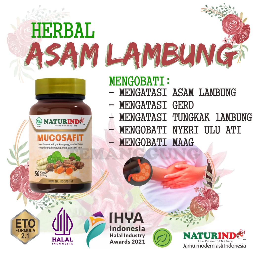 Obat asam lambung kronis g mag akut Herbal Ampuh Naik gerd mual tungkak lambung Maag Magh herbal Amp