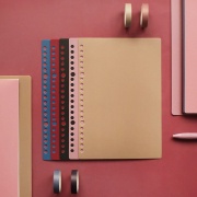 

DIY Plastic Binder Cover Retro Color 2pc / Sampul binder