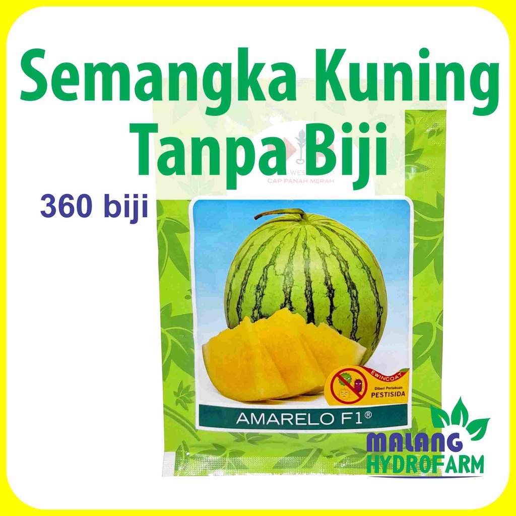 Benih Semangka Kuning Tanpa Biji Amarelo F1 360 Biji Cap Panah Merah Dataran Rendah Buah Bibit