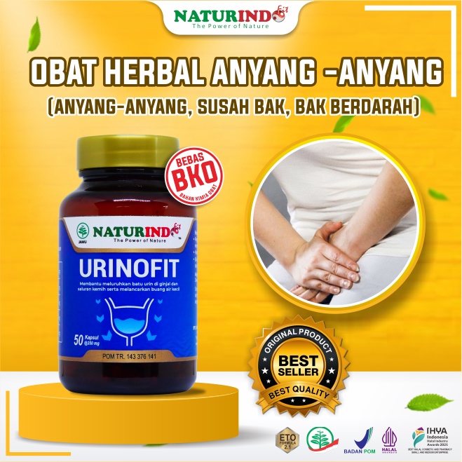 Obat Anyang Anyangan Dan Infeksi Saluran Kencing Obat Ngompol Pelancar Susah Buang Air Herbal Ampuh 
