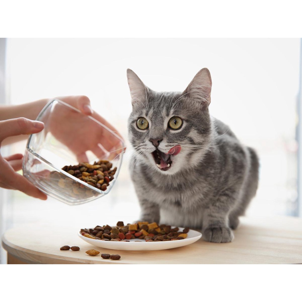 LEZATO MAKANAN KUCING PREMIUN 1KG
